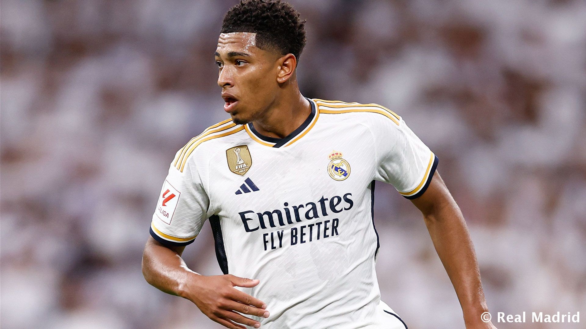 英超：曼城主场3-0完胜诺维奇